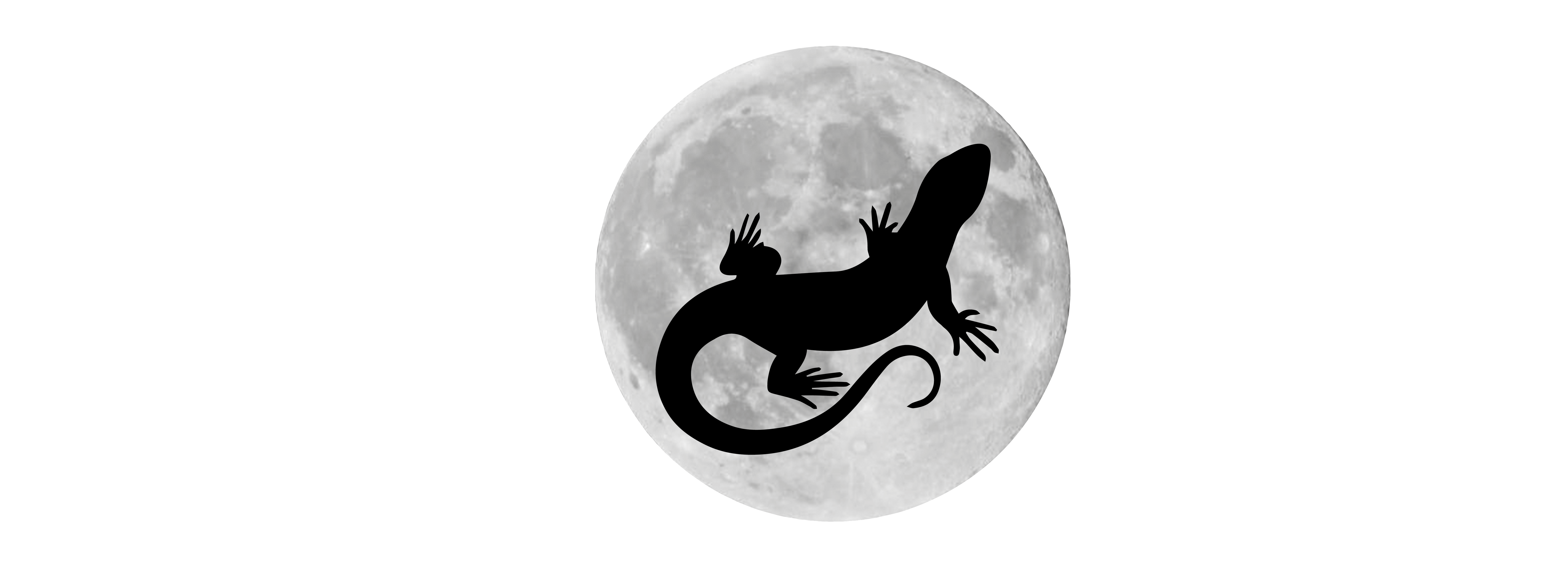 Midnight Lizard Logo